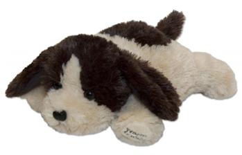 Small-Puppy-Chocolate.jpg